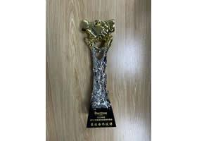 軟通動力2020年度獵頭招聘最佳合作伙伴